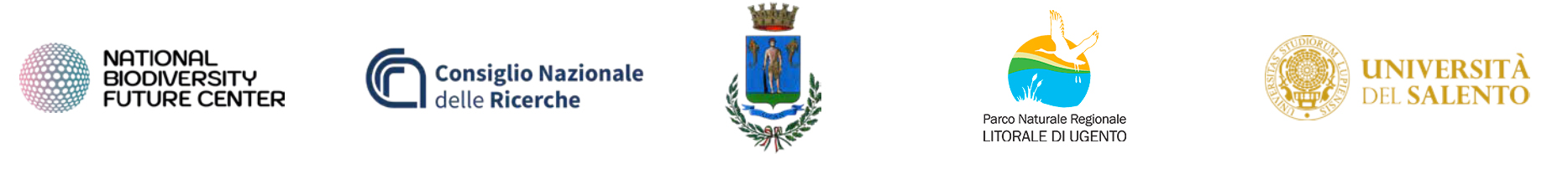 loghi collab